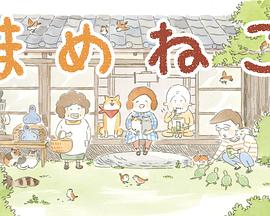 豆豆猫第03集(大结局)