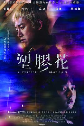 塑胶花第04集