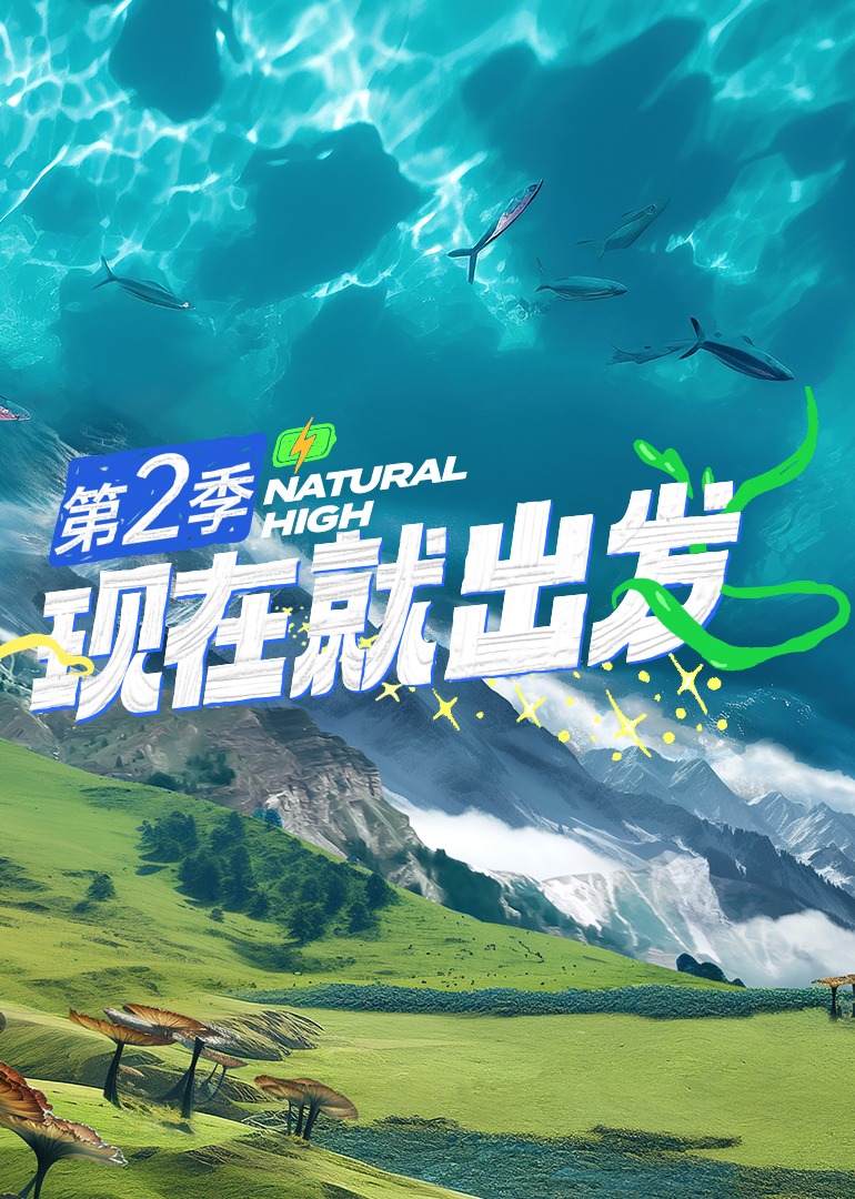 现在就出发第二季20241103下