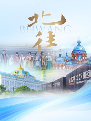 北往20241119第3期