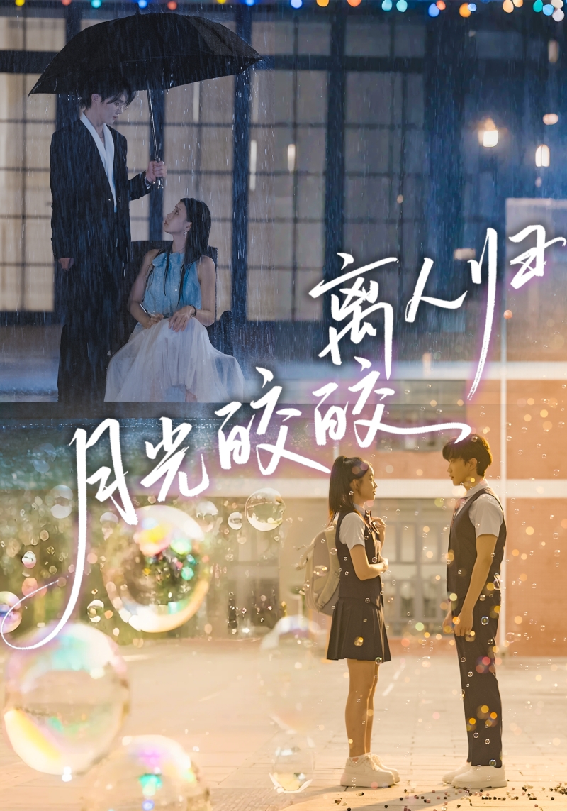 月光皎皎离人归(全集)